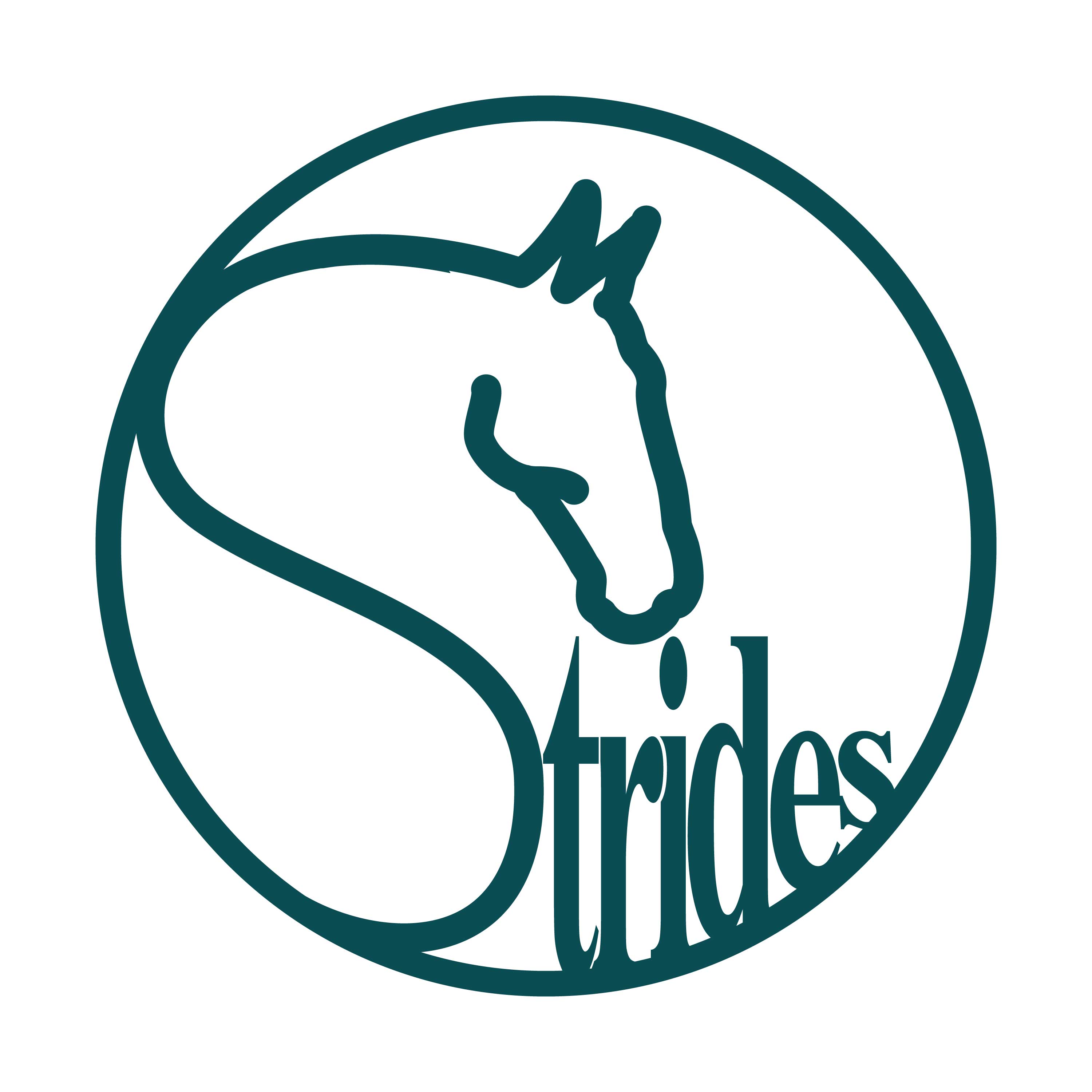 Strides